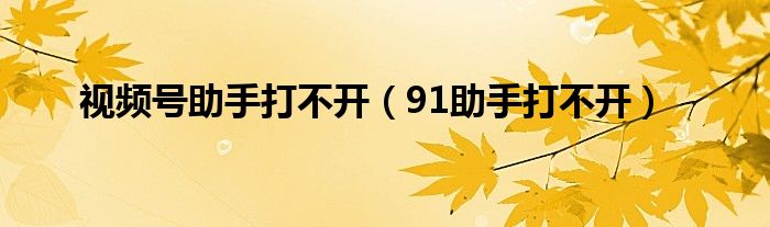 视频号助手打不开（91助手打不开）