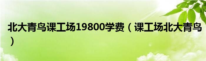 北大青鸟课工场19800学费（课工场北大青鸟）