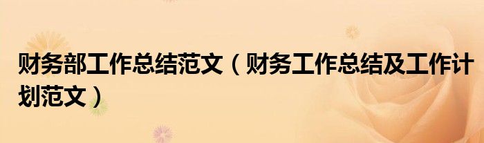 财务部工作总结范文（财务工作总结及工作计划范文）