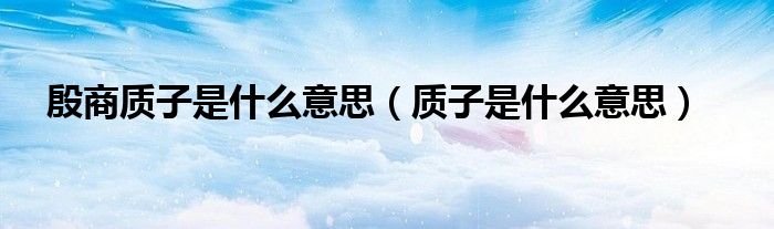 殷商质子是什么意思（质子是什么意思）