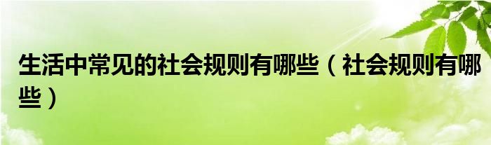 生活中常见的社会规则有哪些（社会规则有哪些）
