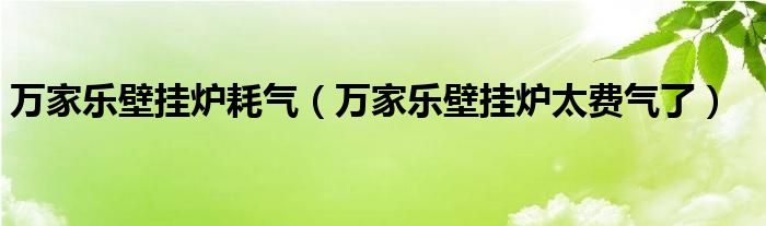 万家乐壁挂炉耗气（万家乐壁挂炉太费气了）
