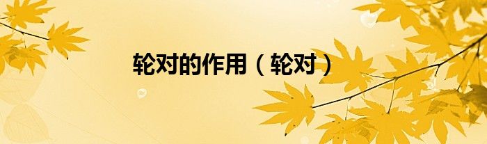 轮对的作用（轮对）