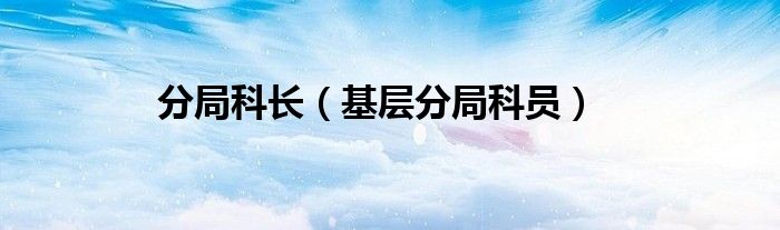 分局科长（基层分局科员）