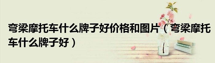 弯梁摩托车什么牌子好价格和图片（弯梁摩托车什么牌子好）