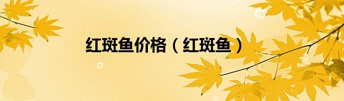 红斑鱼价格（红斑鱼）