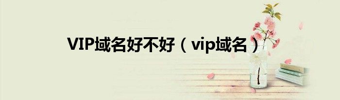 VIP域名好不好（vip域名）
