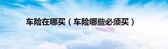 车险在哪买（车险哪些必须买）