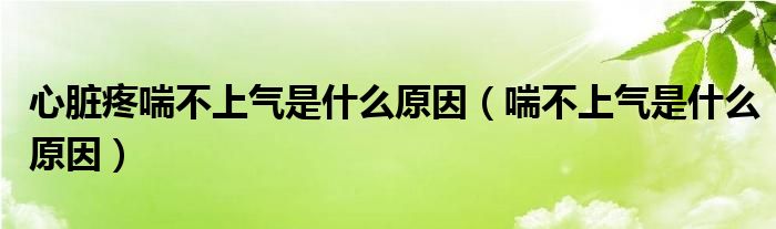 心脏疼喘不上气是什么原因（喘不上气是什么原因）