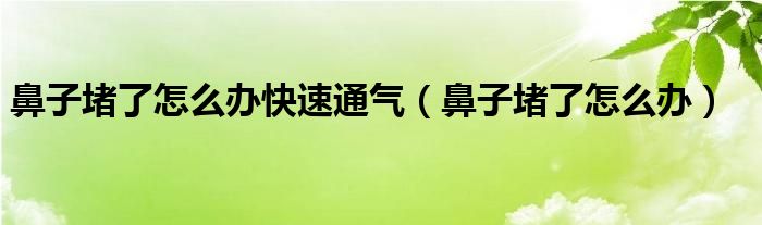 鼻子堵了怎么办快速通气（鼻子堵了怎么办）
