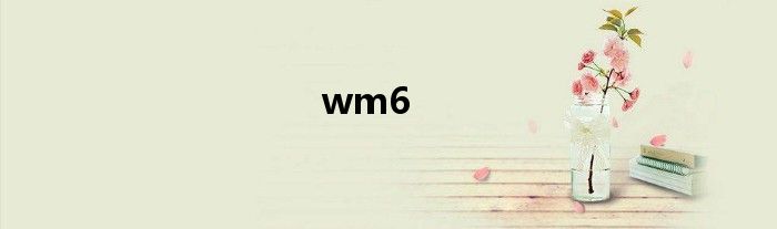 wm6