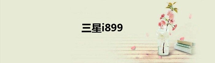 三星i899