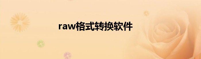 raw格式转换软件