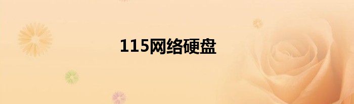 115网络硬盘