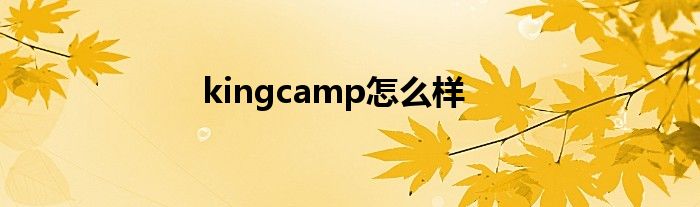kingcamp怎么样