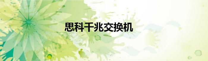 思科千兆交换机