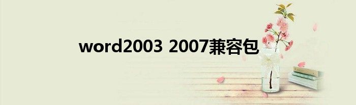 word2003 2007兼容包