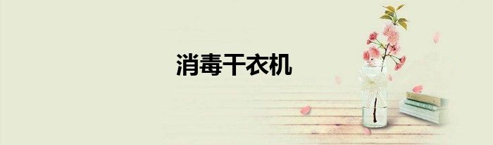 消毒干衣机