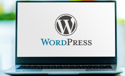 WordPress现在提供域名100年计划