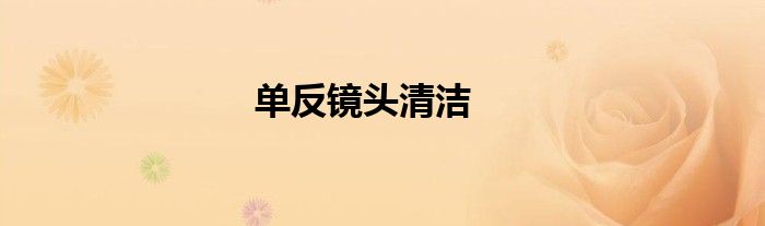 单反镜头清洁