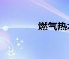 燃气热水器 a.o.史密斯品牌