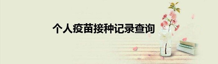 个人疫苗接种记录查询