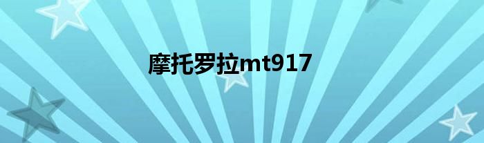 摩托罗拉mt917