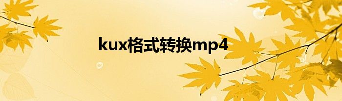 kux格式转换mp4