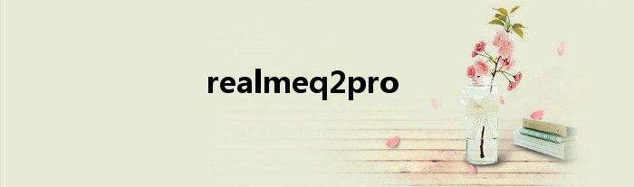 realmeq2pro