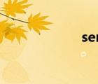 server是什么意思