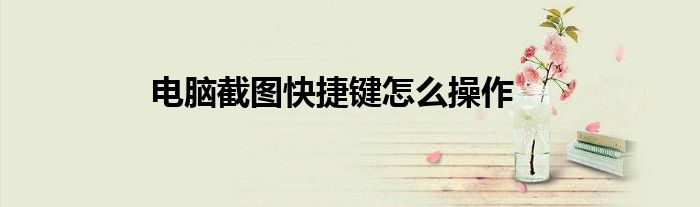 电脑截图快捷键怎么操作