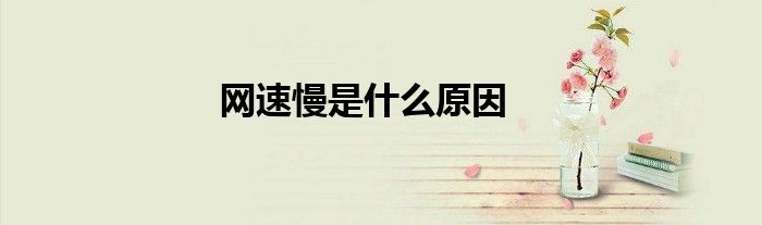 网速慢是什么原因