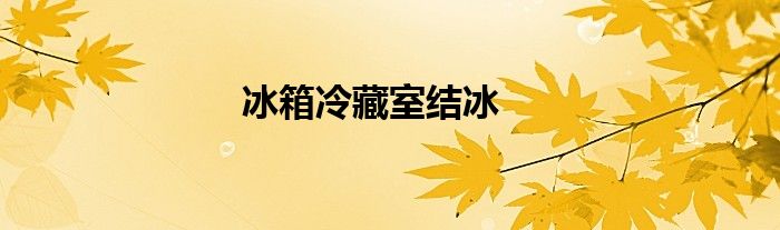 冰箱冷藏室结冰