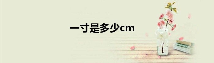 一寸是多少cm