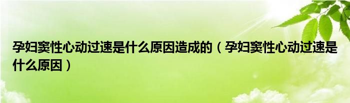 孕妇窦性心动过速是什么原因造成的（孕妇窦性心动过速是什么原因）