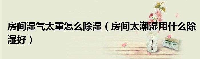 房间湿气太重怎么除湿（房间太潮湿用什么除湿好）
