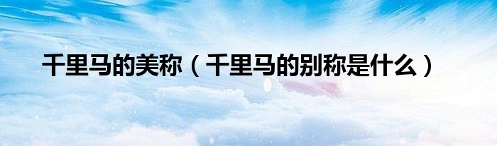 千里马的美称（千里马的别称是什么）