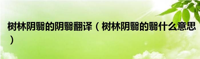树林阴翳的阴翳翻译（树林阴翳的翳什么意思）