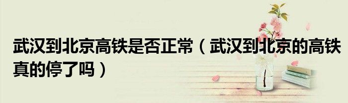 武汉到北京高铁是否正常（武汉到北京的高铁真的停了吗）