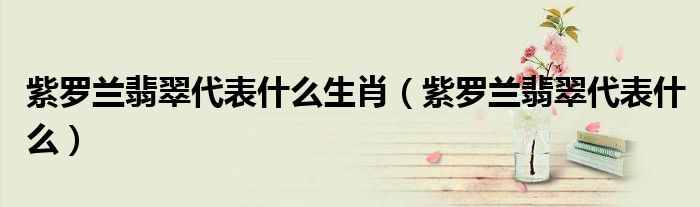 紫罗兰翡翠代表什么生肖（紫罗兰翡翠代表什么）