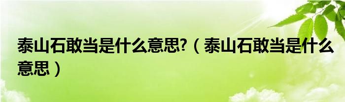 泰山石敢当是什么意思?（泰山石敢当是什么意思）