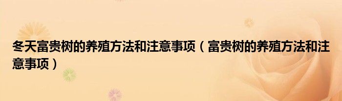 冬天富贵树的养殖方法和注意事项（富贵树的养殖方法和注意事项）