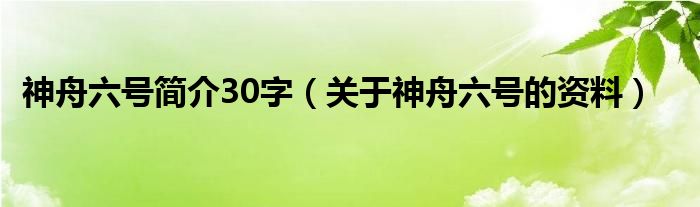 神舟六号简介30字（关于神舟六号的资料）