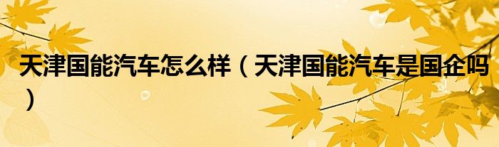 天津国能汽车怎么样（天津国能汽车是国企吗）