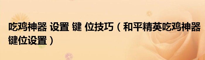 吃鸡神器 设置 键 位技巧（和平精英吃鸡神器键位设置）