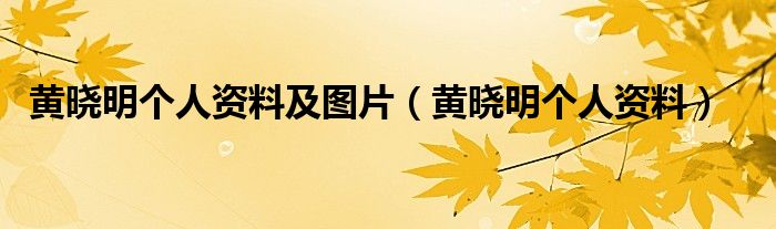 黄晓明个人资料及图片（黄晓明个人资料）