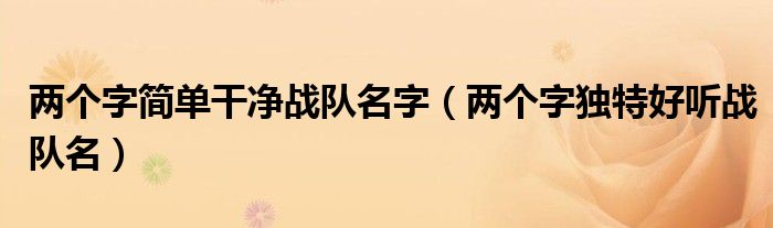 两个字简单干净战队名字（两个字独特好听战队名）