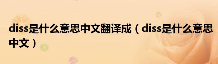 diss是什么意思中文翻译成（diss是什么意思中文）