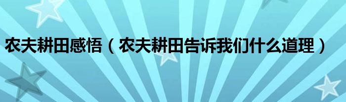 农夫耕田感悟（农夫耕田告诉我们什么道理）