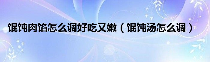 馄饨肉馅怎么调好吃又嫩（馄饨汤怎么调）